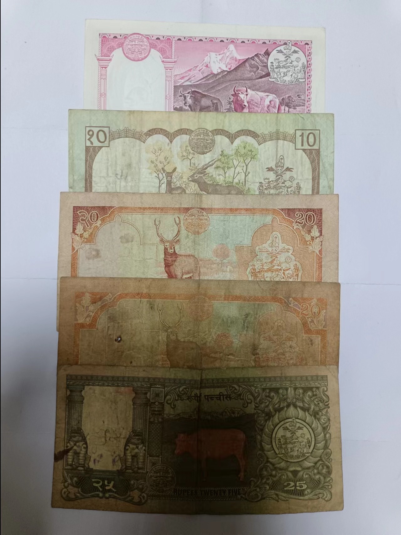 【20230802】非全新纸币第四十九场 尼泊尔5张纸币，有裂缝和字迹