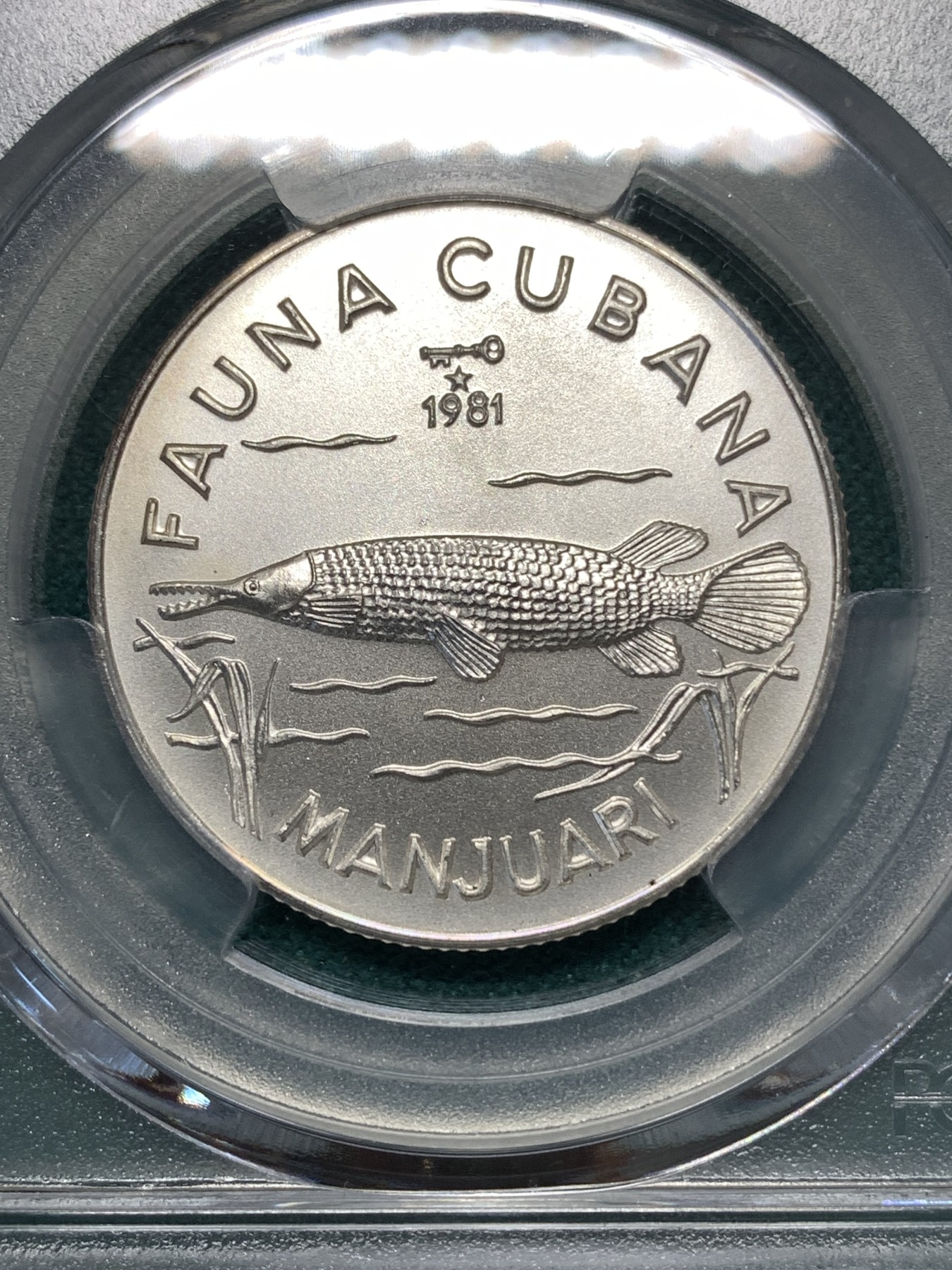 《竞宝斋》第186场-周日，周一 2场 (全场包邮) PCGS MS68 古巴 1981年 鳝鳄 5比索 银币少见品种 5000枚发行量