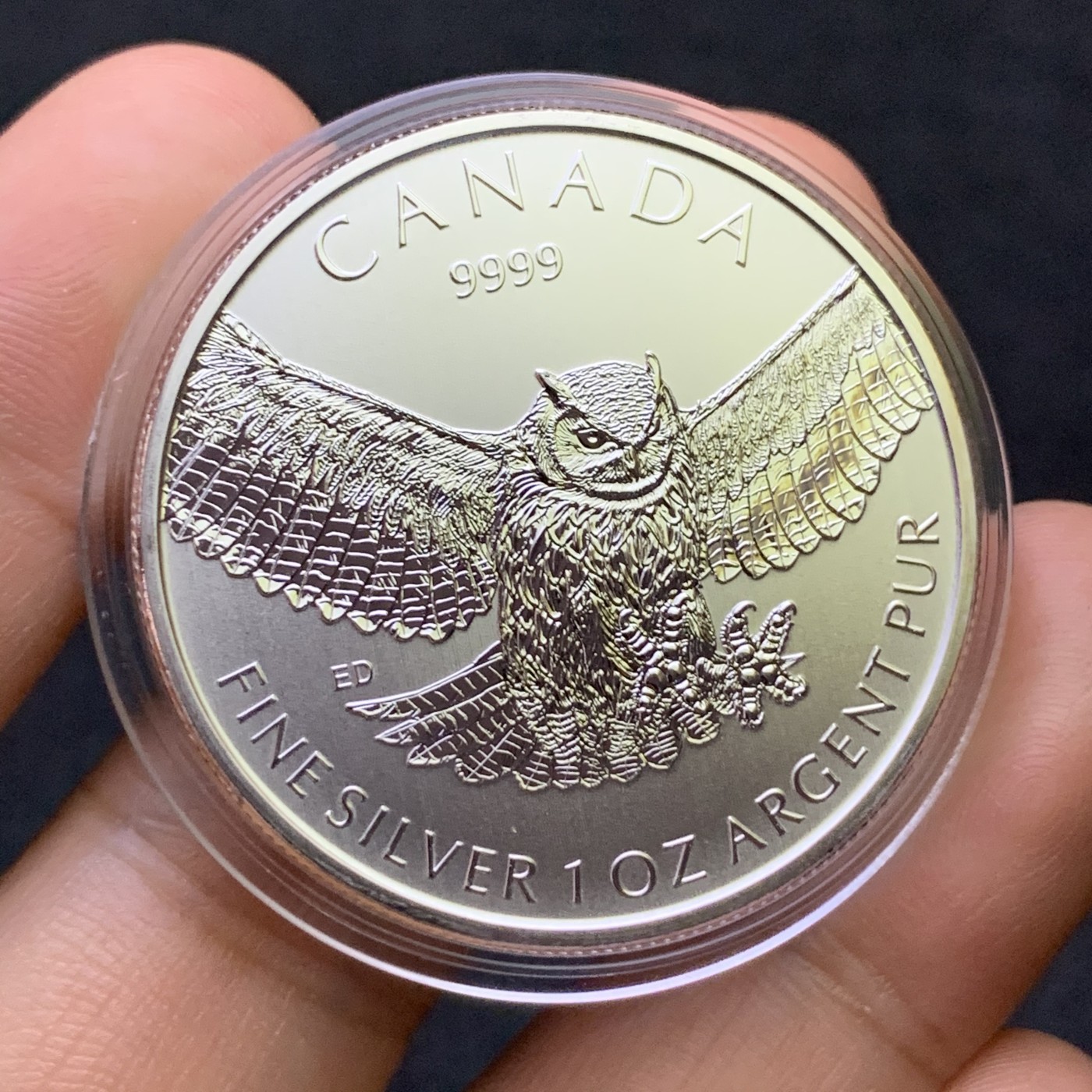 《竞宝斋》第186场-周日，周一 2场 (全场包邮) 加拿大 2015年 猛禽系列 大角猫头鹰 1盎司银币 31.1克 9999银 少见品种