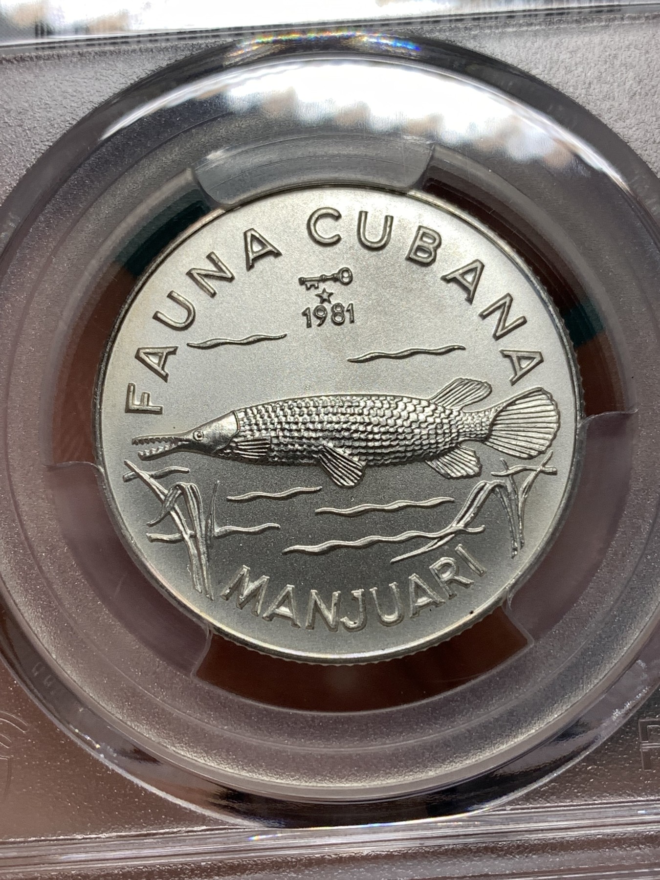 《竞宝斋》第186场-周日，周一 2场 (全场包邮) PCGS MS68 古巴 1981年 鳝鳄 5比索 银币少见品种 5000枚发行量