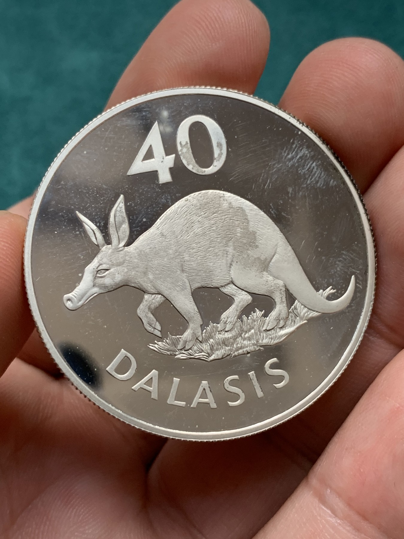 《竞宝斋》第186场-周日，周一 2场 (全场包邮) 冈比亚1977年豚鼠40达拉西精制大银币，925银，直径42mm，重量35.29g