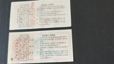 每日随心十拍007 <祼币场> 一版币驼运图案联单一套4张