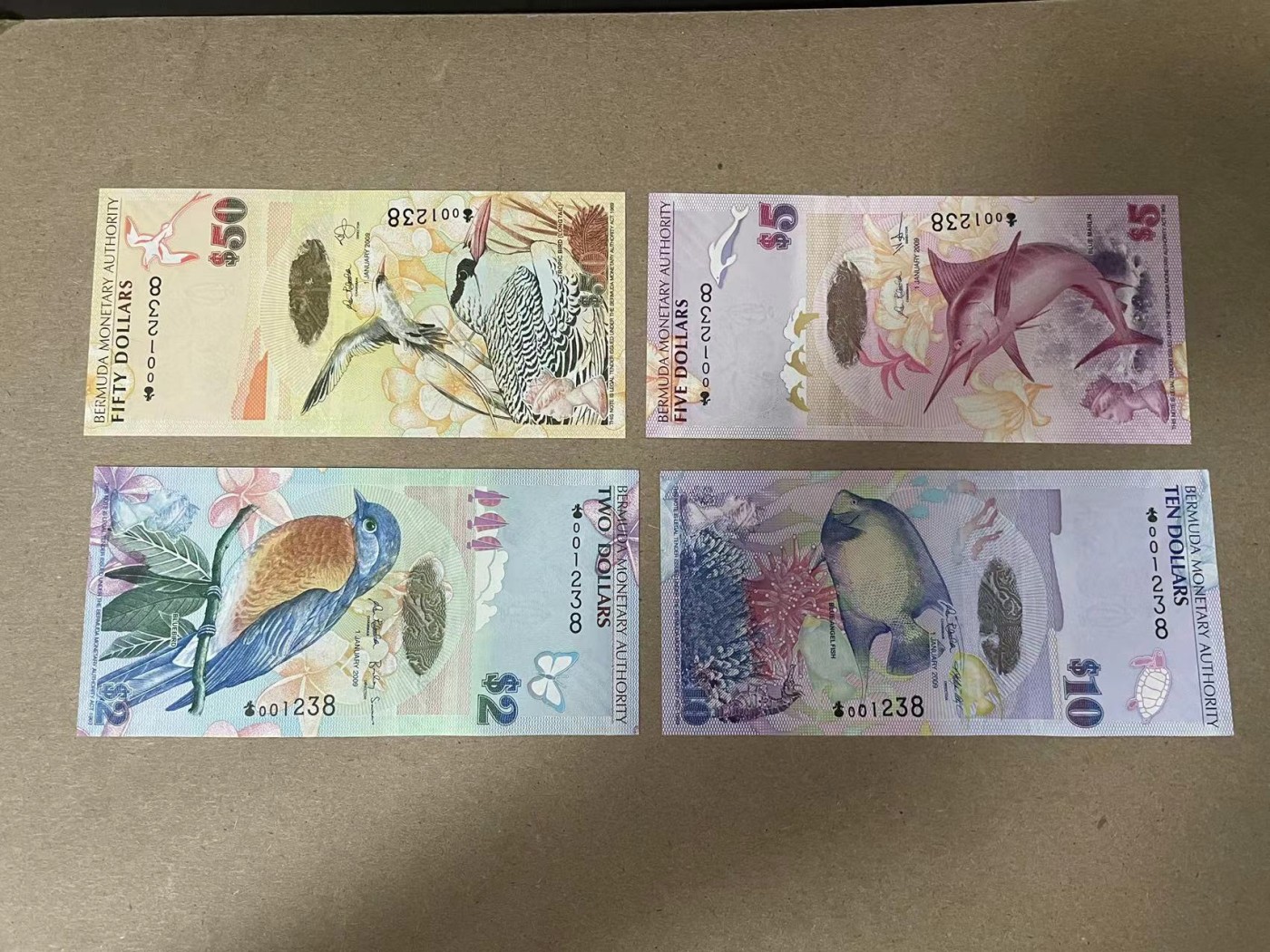 【Blue Auction】✨世界纸币精拍第354期——布克哈特【精】 【一组4张 洋葱冠 1238全同小号 含获奖钞】百慕大 2009年2-5-10-50元 全新UNC