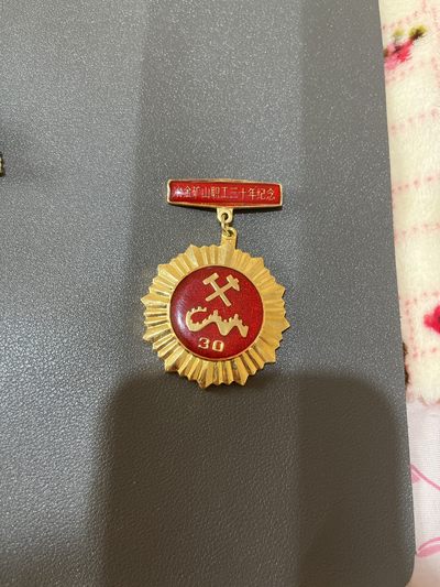 古冰库勋章杂项交流群第七场群拍 - 冶金矿山职工三十年纪念
