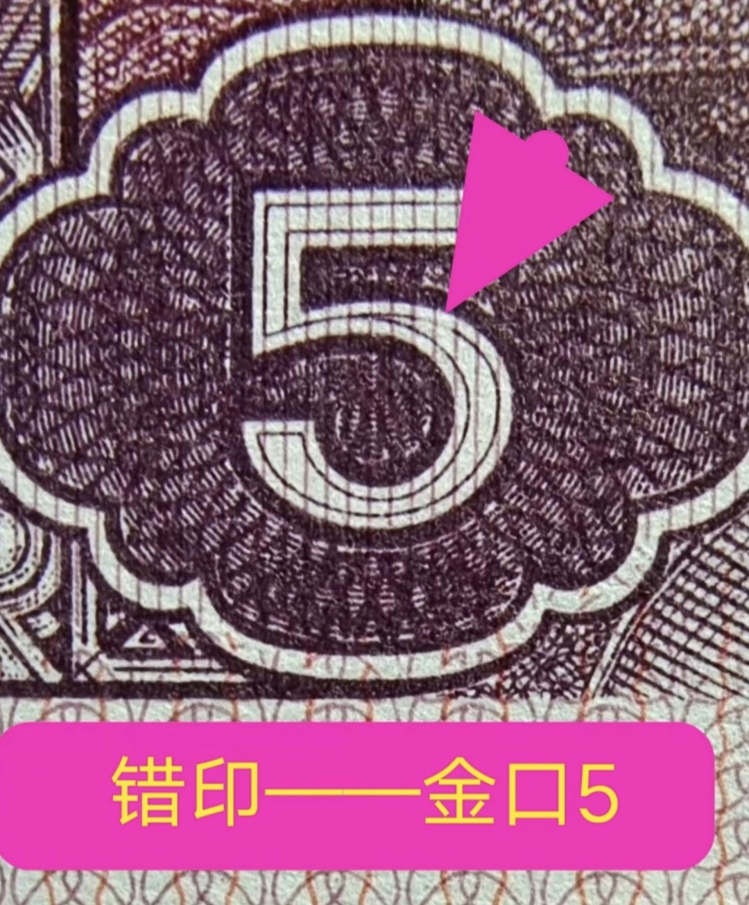 欣赏错币——8005双金口、大漏印、数字荧光、枫叶红