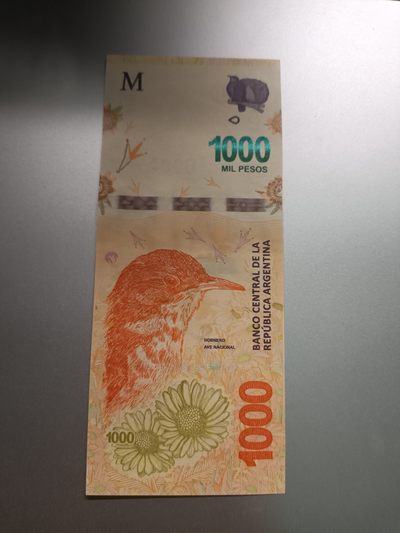 【专场20230802】八月天字甲号拍——世界钞/币专场 - 【拍品001】阿根廷2018版1000比索UNC双冠棕灶鸟