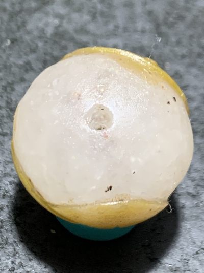 精美亚光冰飘战国红玛瑙手工雕刻钱币财字2.0珠一颗！寓意：招财进宝 精美亚光冰飘战国红玛瑙手工雕刻钱币财字2.0珠一颗！寓意：招财进宝