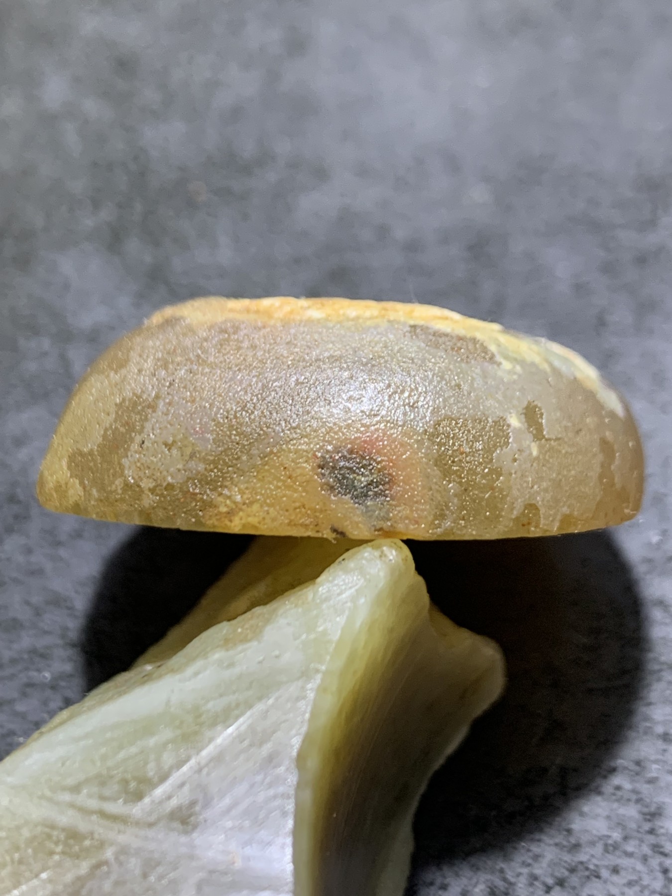 精美原皮高玉化冻料蒙料冰飘心战国红玛瑙手工影雕工艺无相佛把件(吊坠)一个