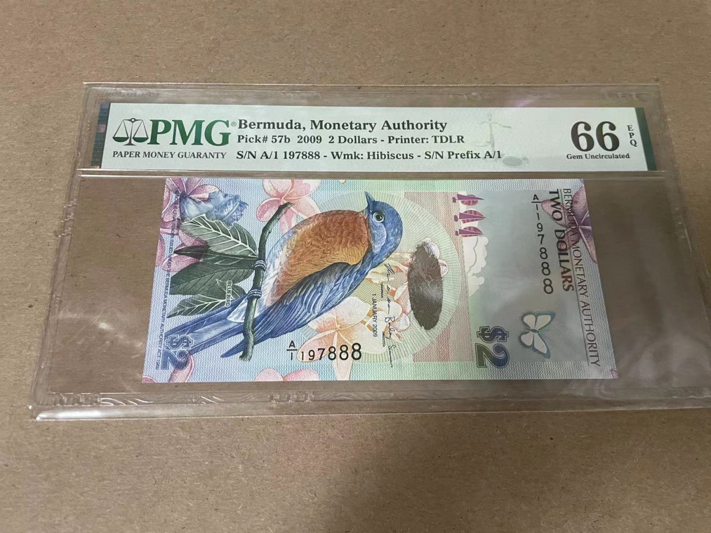 【Blue Auction】✨世界纸币精拍第354期——布克哈特【精】 【888豹子号 A1冠获奖钞】百慕大 2009年2元 PMG66EPQ 