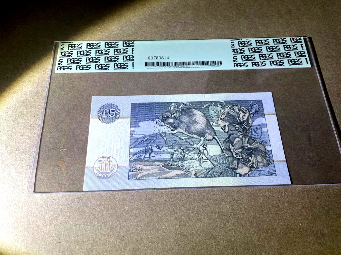 【Blue Auction】✨世界纸币精拍第354期——布克哈特【精】 【世界名家Rickey 百位小号 诗文特别纪念版】苏格兰 1996年5镑 PCGS65EPQ 绿标