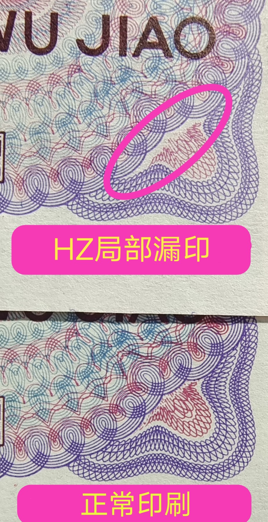 欣赏错币——8005双金口、大漏印、数字荧光、枫叶红