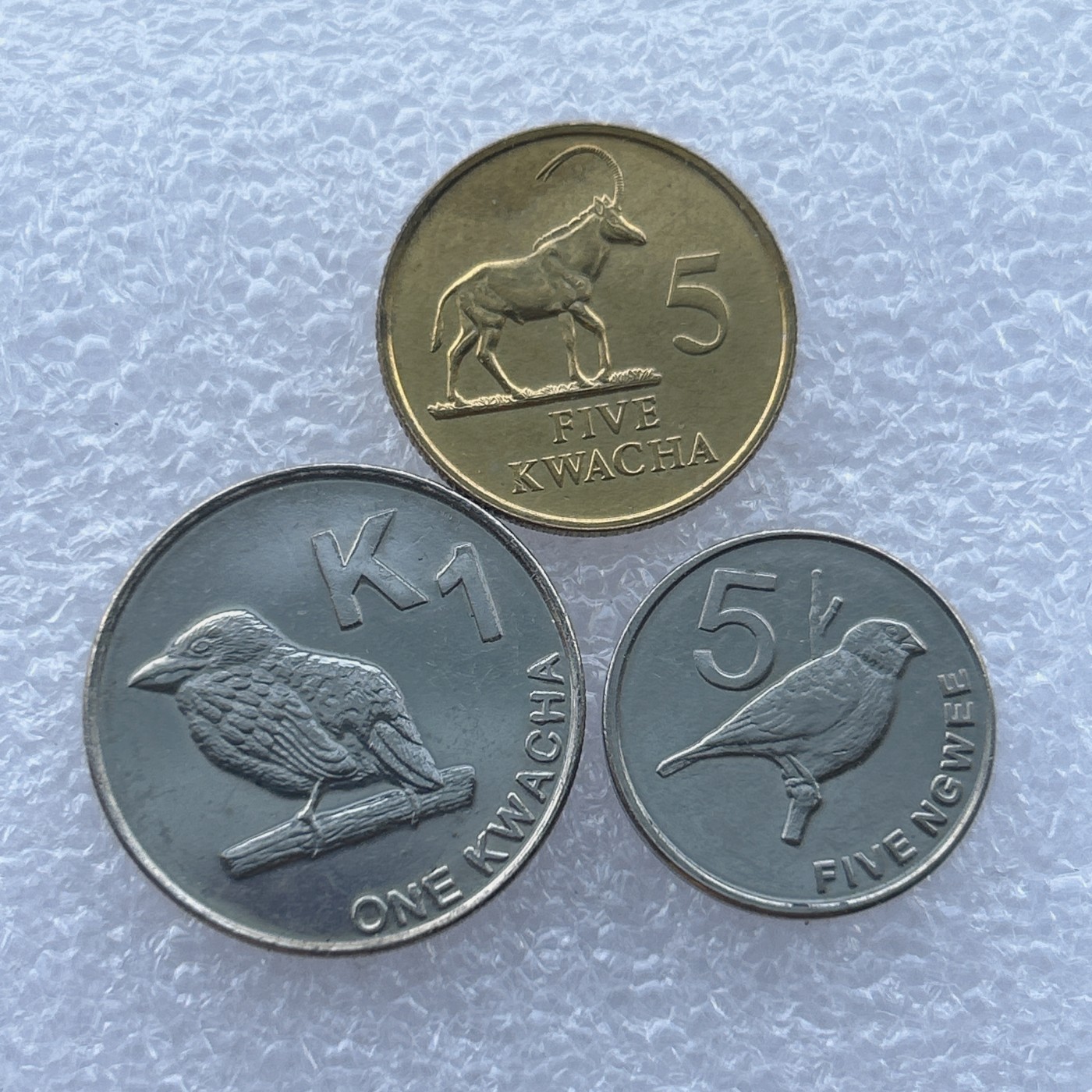 全场一元起拍 世界钱币散币场 第14期 赞比亚 动物