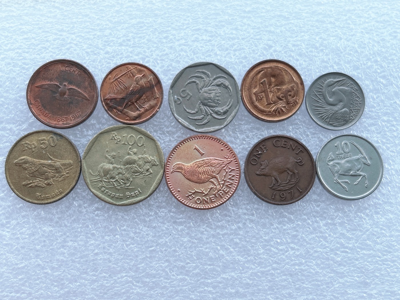 全场一元起拍 世界钱币散币场 第14期 散币 动物类