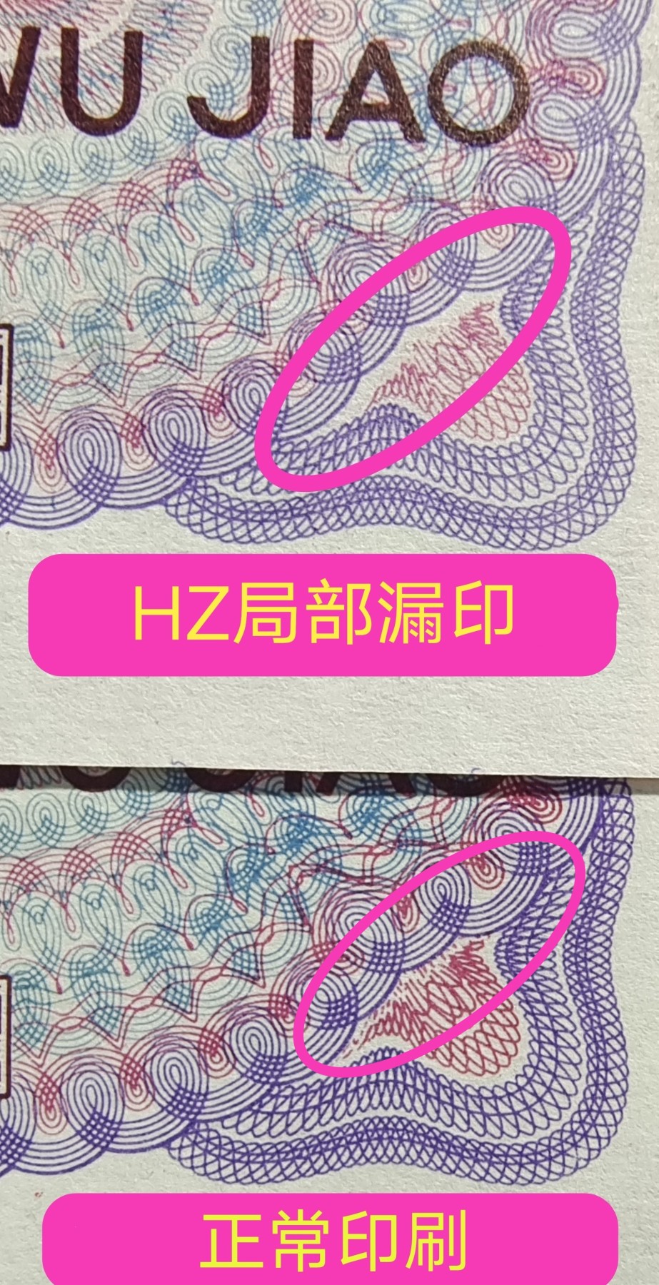 欣赏错币——8005双金口、大漏印、数字荧光、枫叶红标十