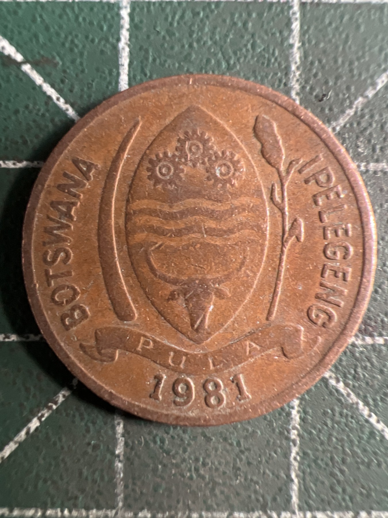 第406期 硬币专场 （无押金，捡漏，全场20包邮，偏远地区除外，接收代拍业务） 博茨瓦纳5瑟比