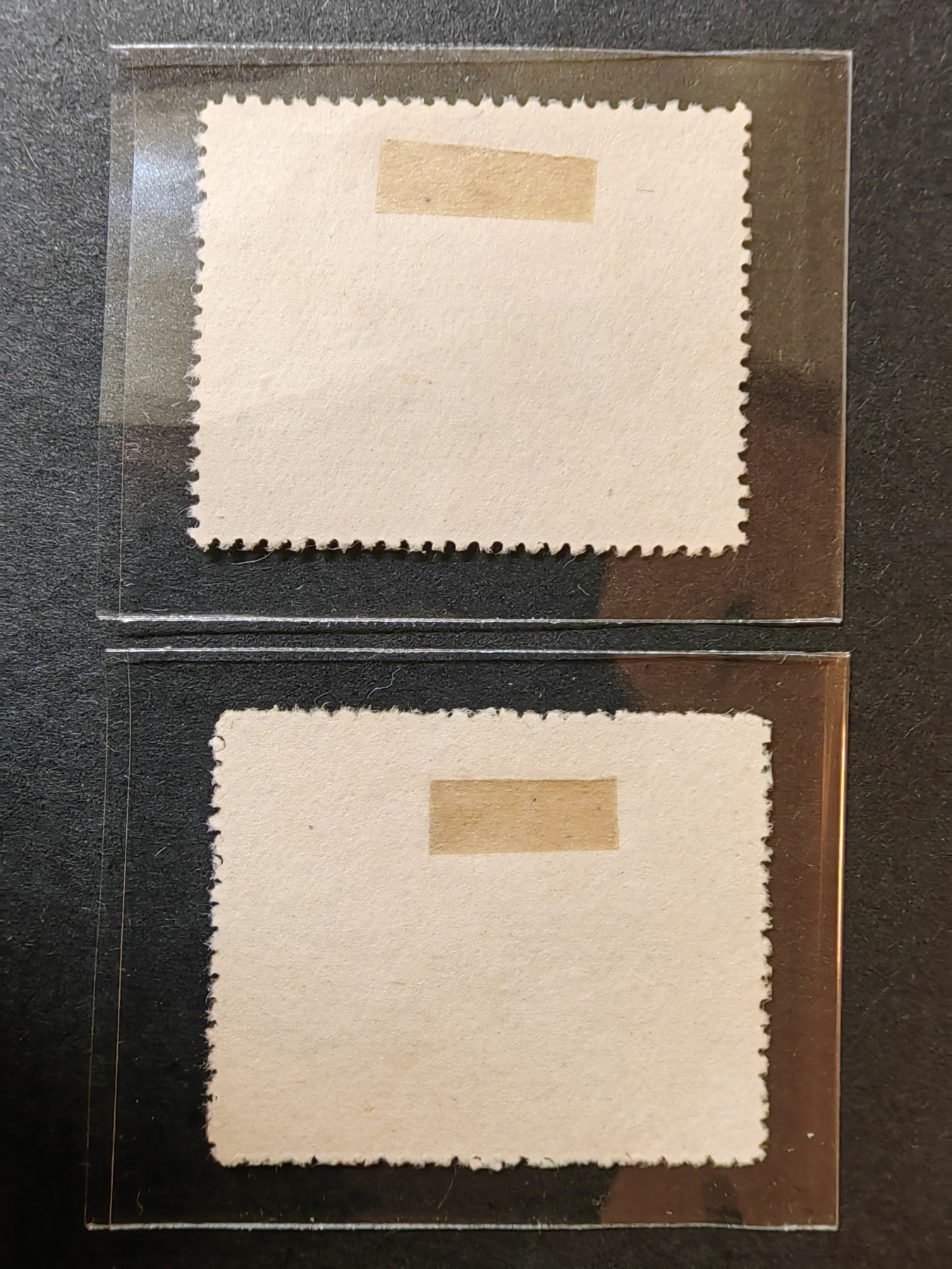 中外邮票+首日封+旧书籍.专场（精品） 1959年 中央自然博物馆 （一套）