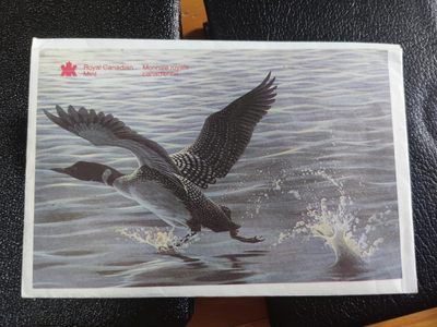 长老汇马年精选第十五场拍卖 - 1996加拿大潜鸟6枚套币原厂塑封装带外纸，总面值1.91加元，其中1996年1加元克书标价32美金