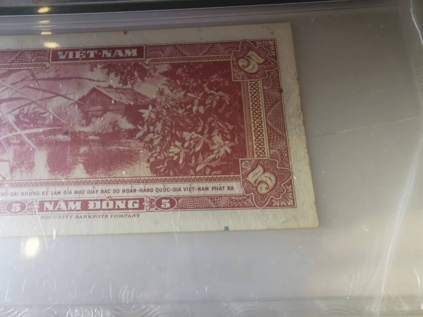 248.【鲸贝乐淘★两拍包邮】三字经·第“三光者，日月星”号拍卖 【越南🇻🇳】1955年南越5盾，金盾58分