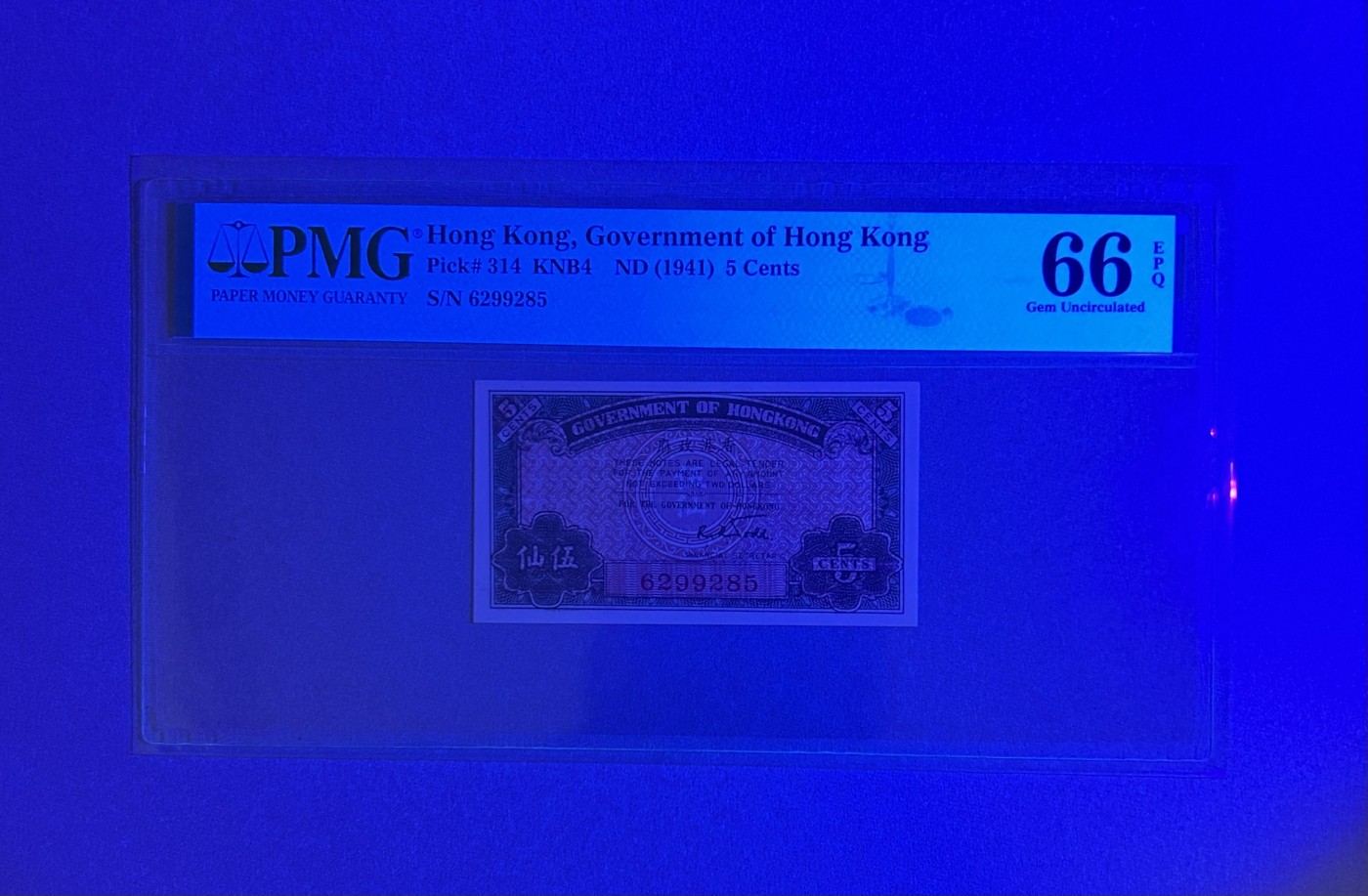 【丑猫】今晚七点【自动快拍】 香港政府5仙