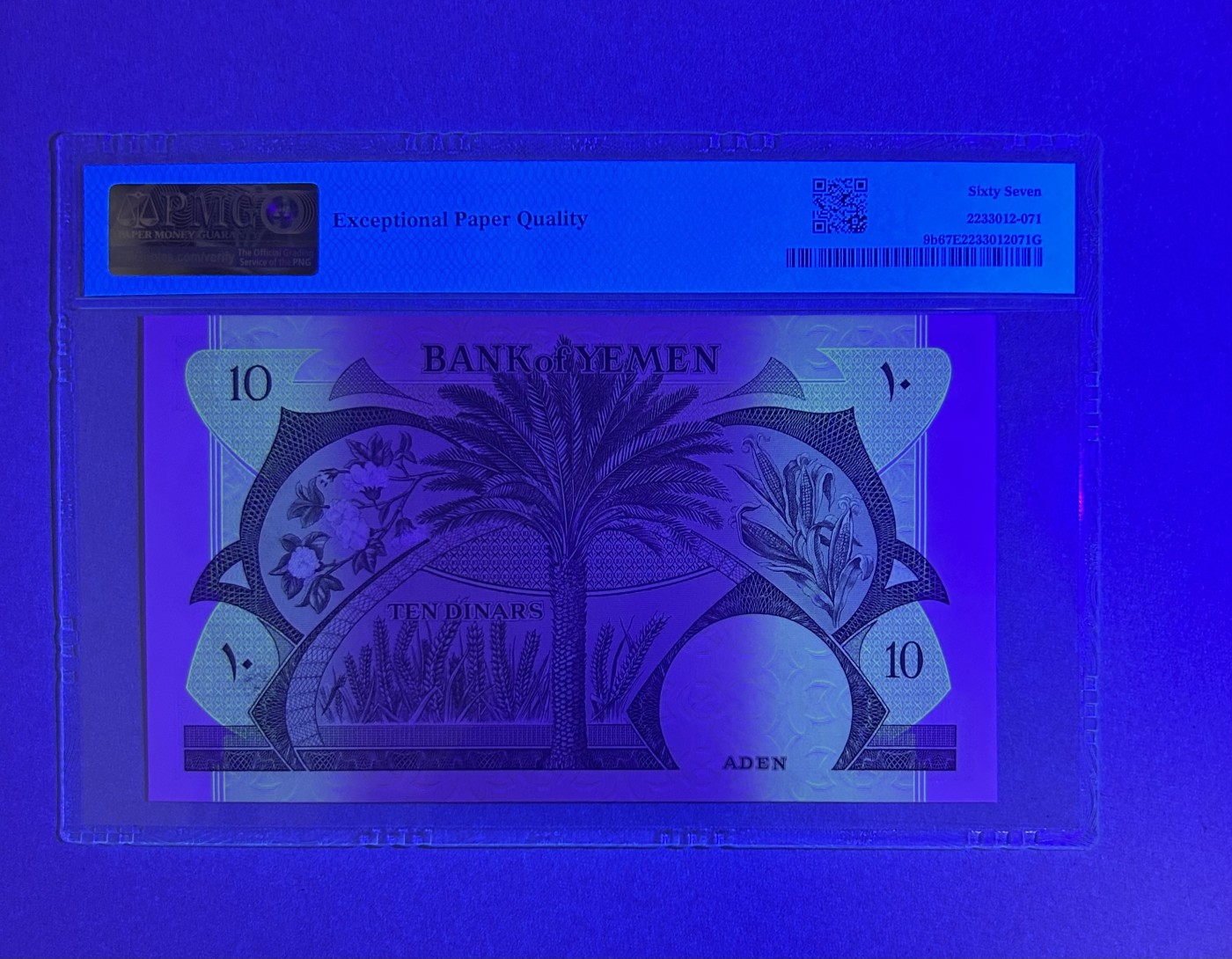 【丑猫】今晚七点【自动快拍】 也门10高分大票幅【839666】