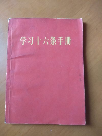 皖江书章首次麦稀奇拍卖 - 学习十六条手册
