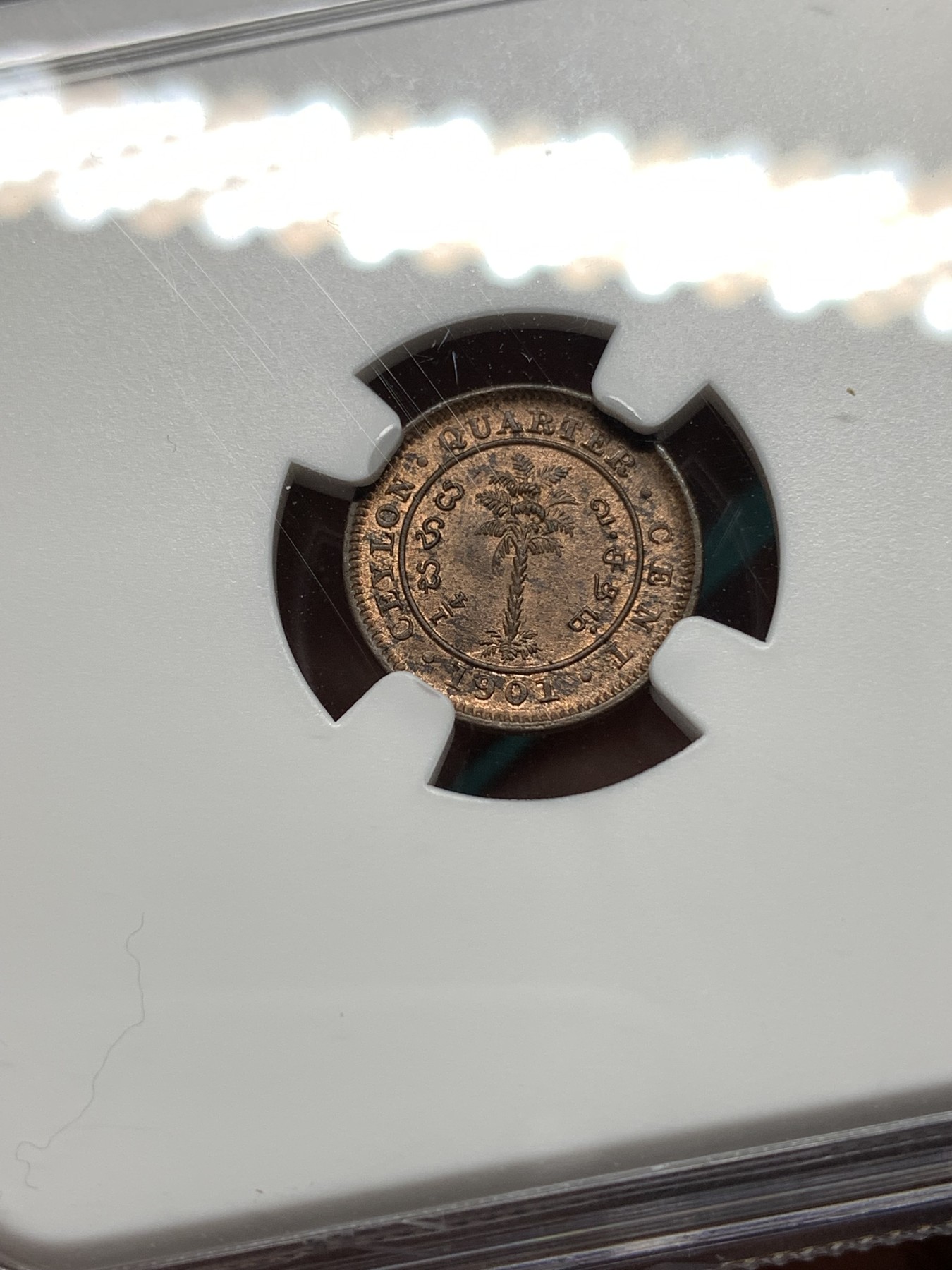 《竞宝斋》第187场-周日，周一 2场 (全场包邮) NGC MS64BN 锡兰1901年维多利亚女王头像1/4分铜币