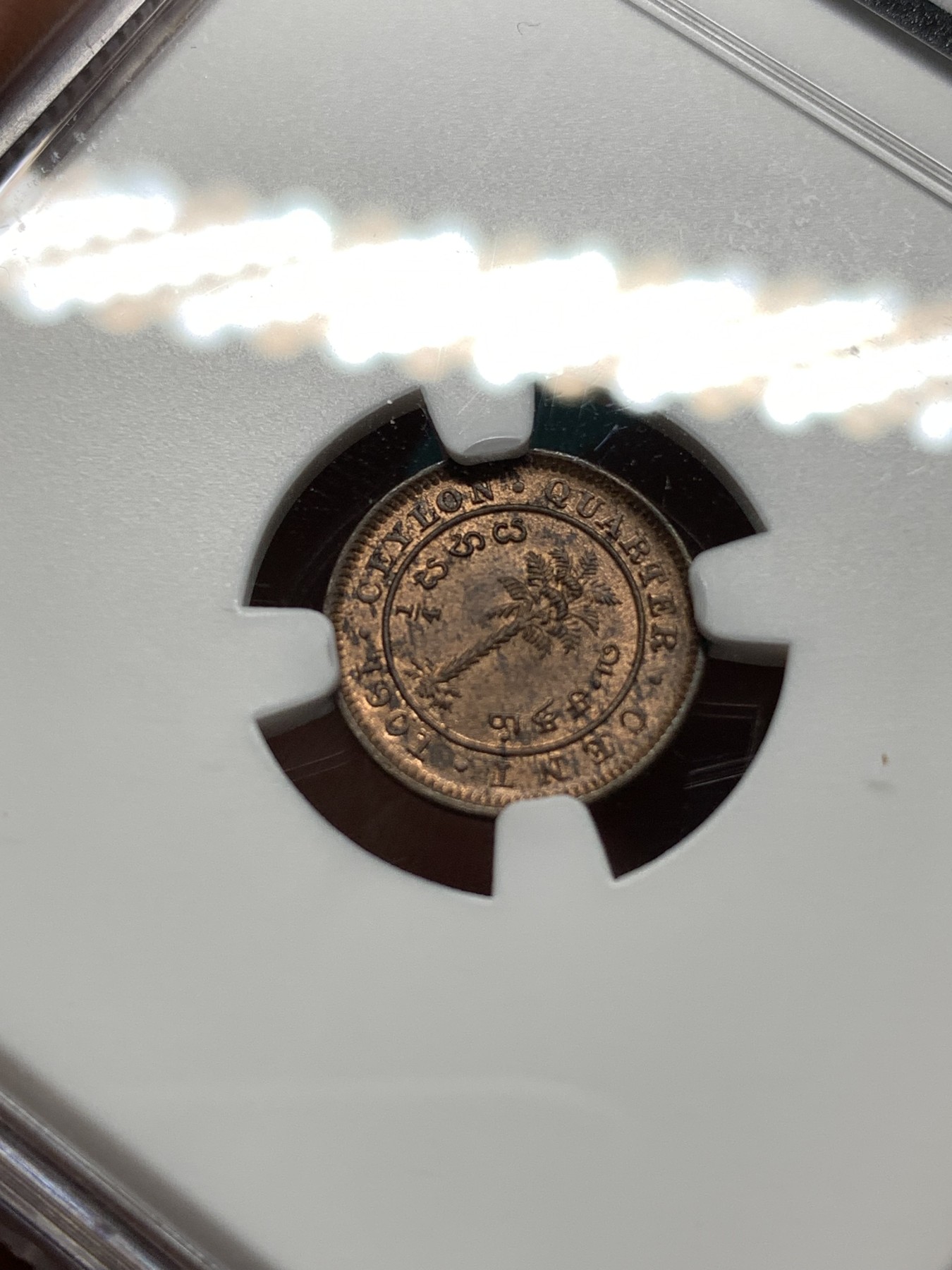 《竞宝斋》第187场-周日，周一 2场 (全场包邮) NGC MS64BN 锡兰1901年维多利亚女王头像1/4分铜币