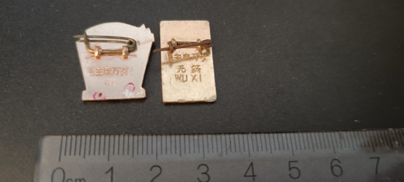 全场0起0押金，红色文化专场！ 两枚小章