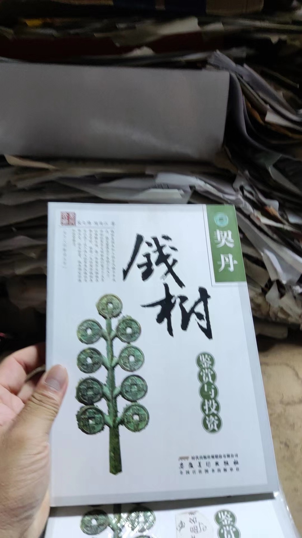 契丹钱树鉴赏与投资（9品左右）