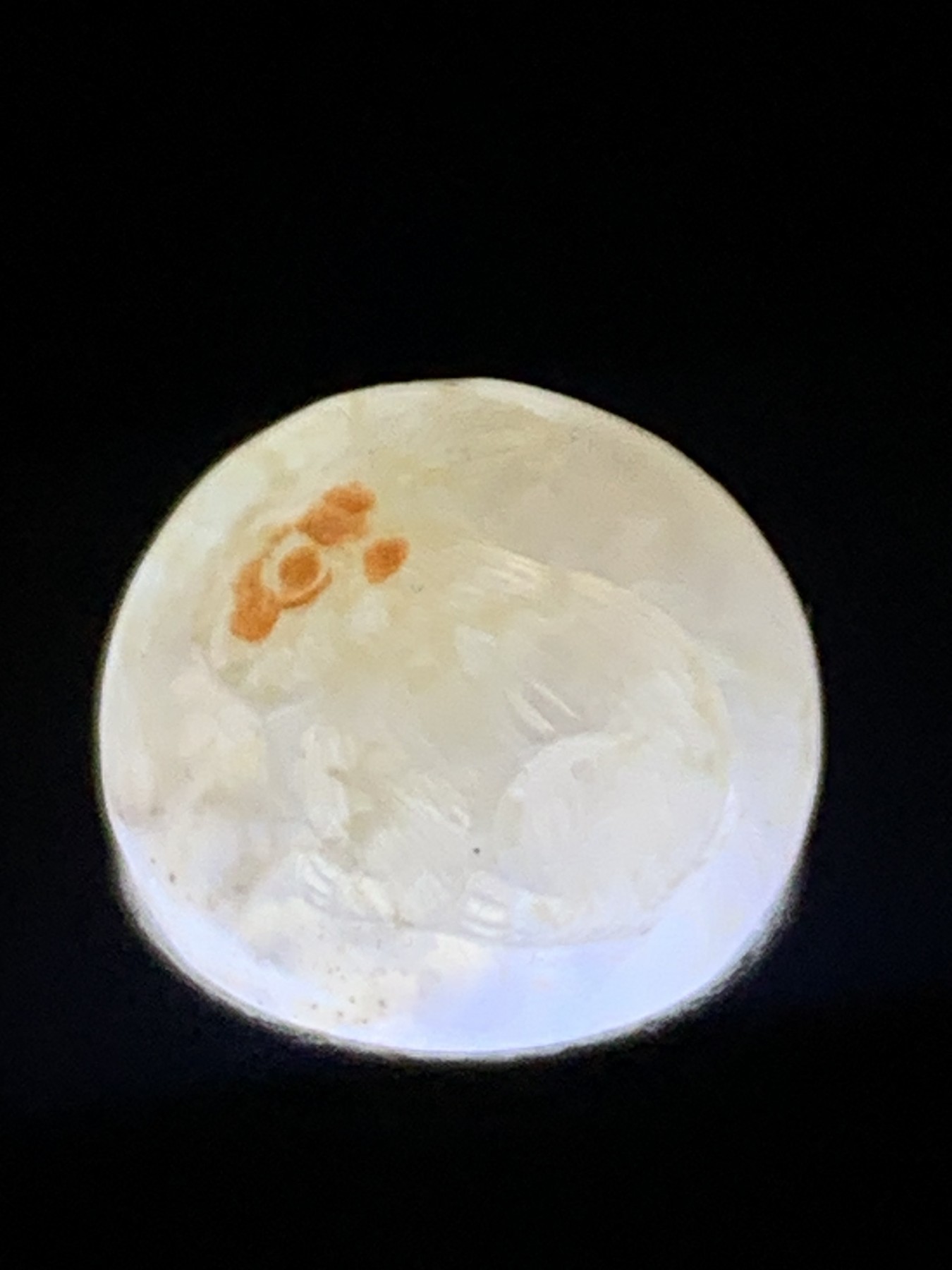 精美亚光满冰飘糖心料战国红玛瑙手工俏色巧雕玉兔珠一个，