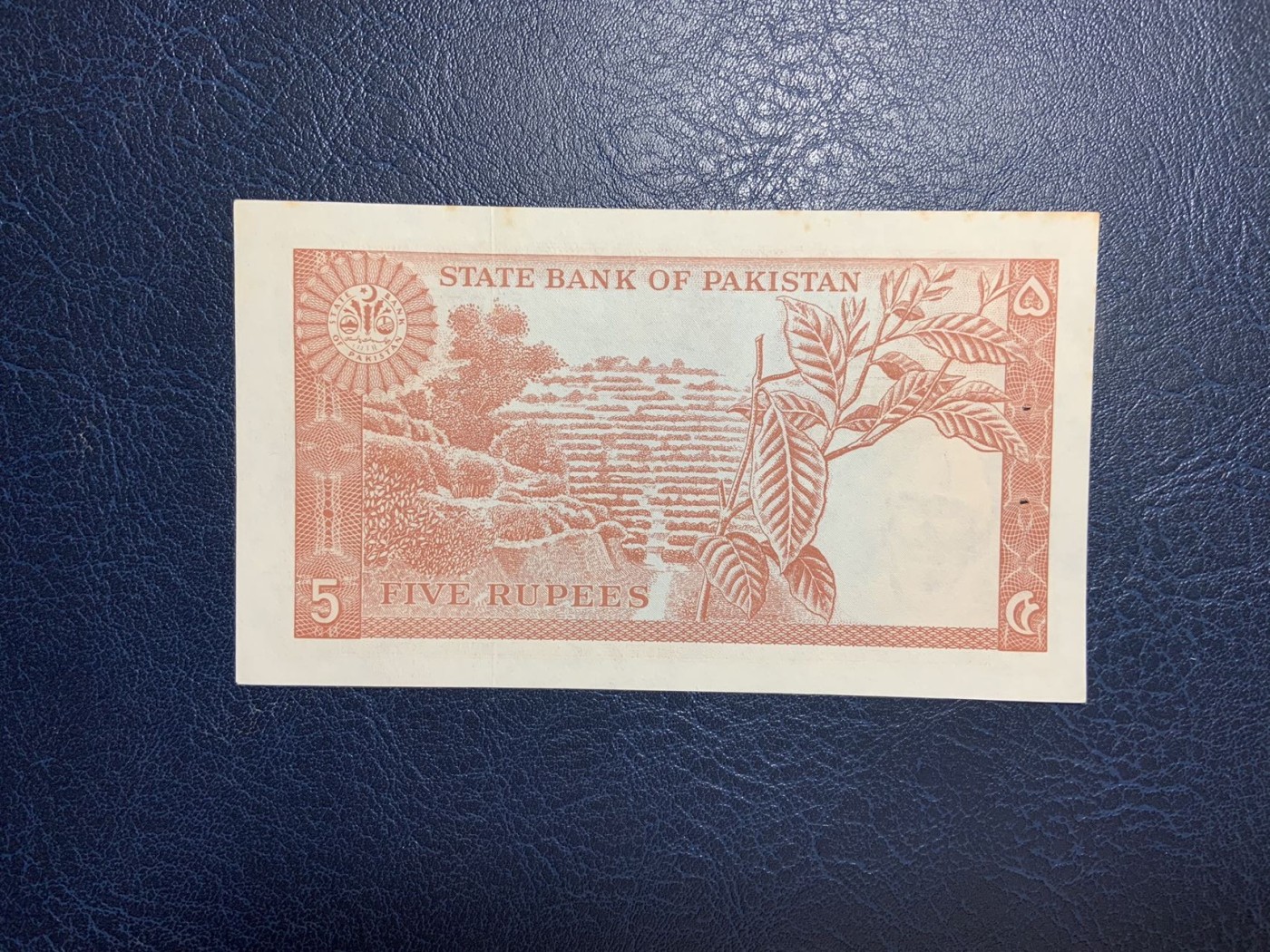 收藏联盟Quantum Auction 第280期拍卖  巴基斯坦1972-78年5卢比 品相UNC- 有针孔 