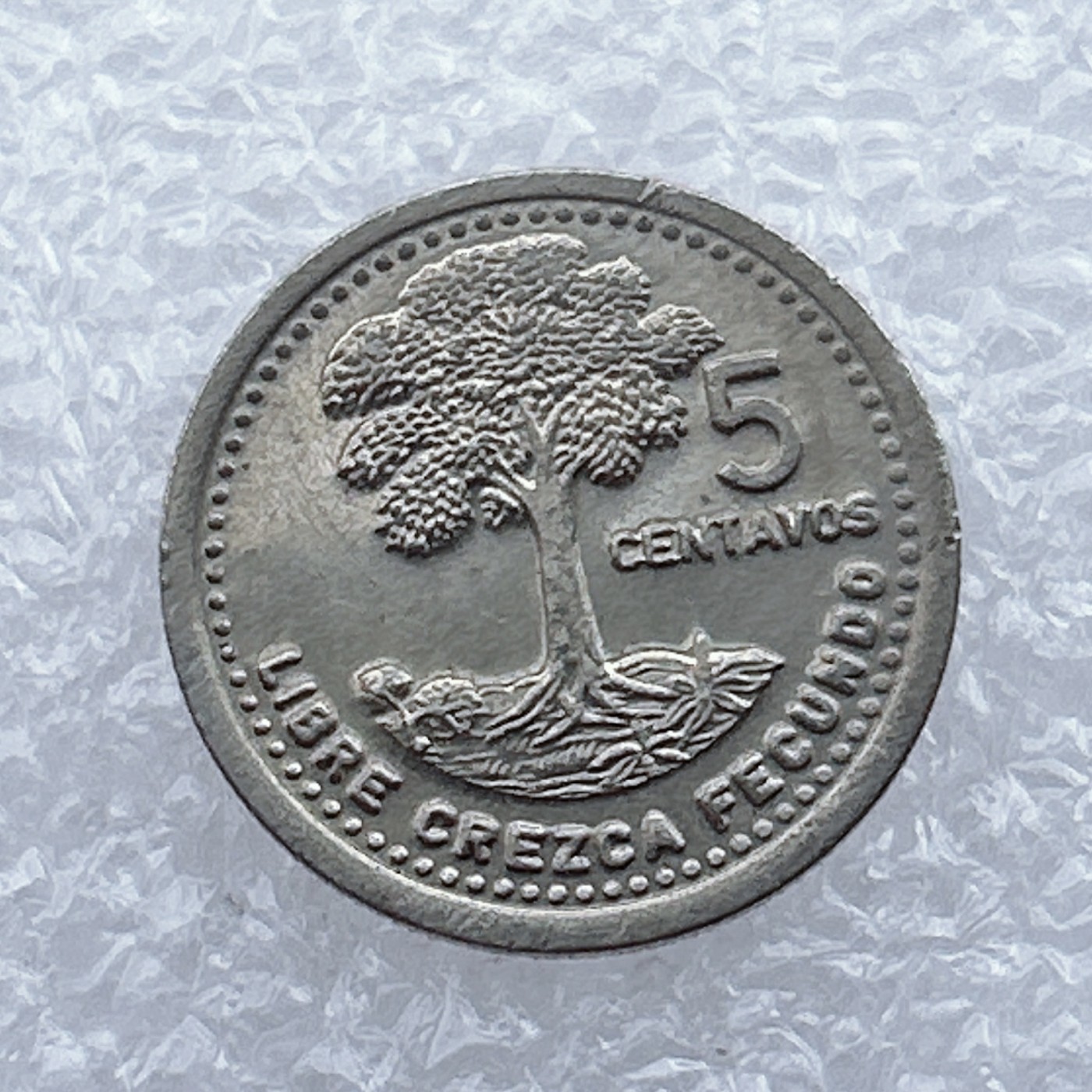 全场一元起拍 世界钱币散币场 第15期 危地马拉1992年5分铜镍币