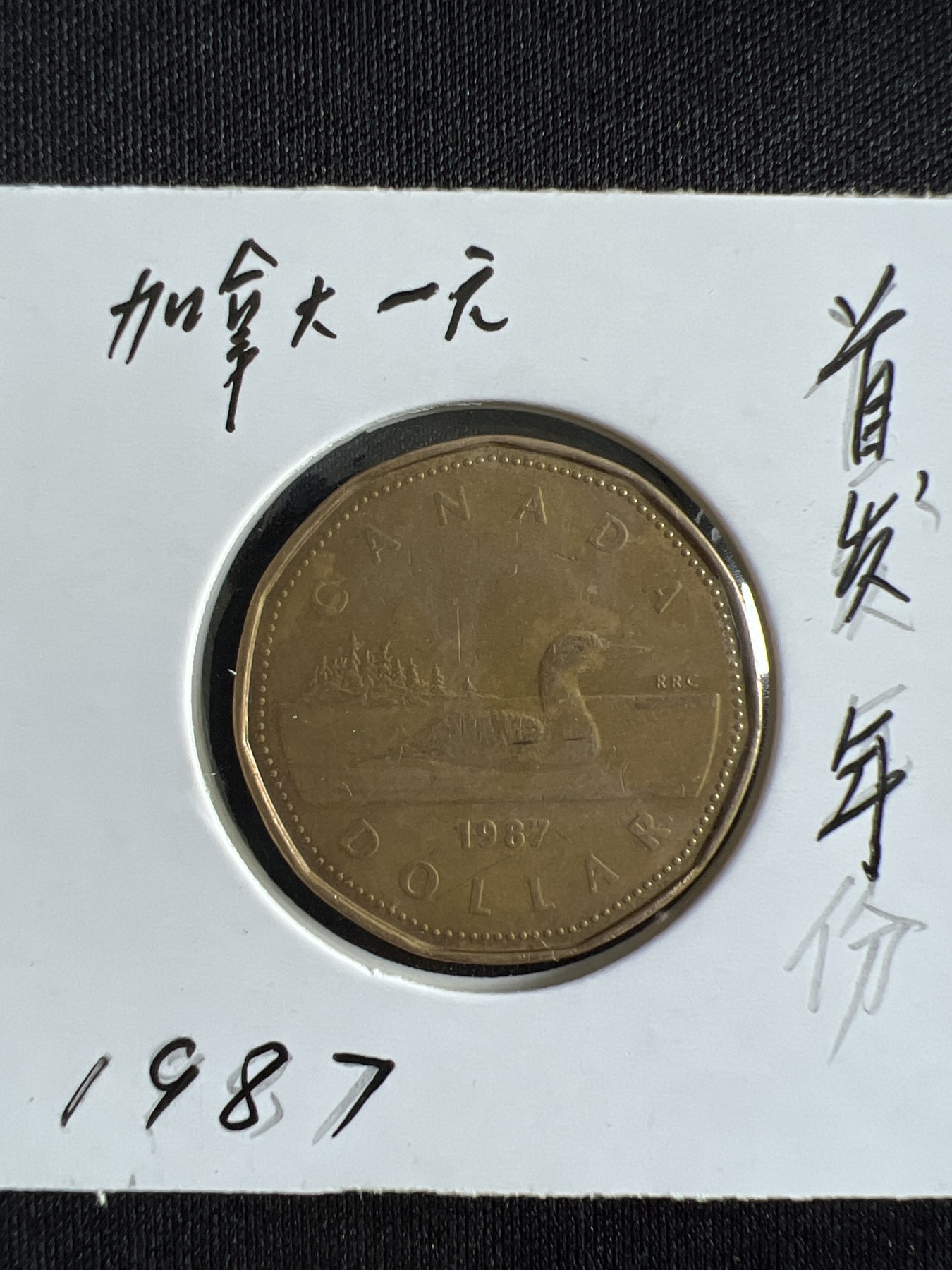 泡泡堂第377期 硬币专场 （无押金，捡漏，全场20包邮，偏远地区除外，接收代拍业务） 加拿大一元首发年份