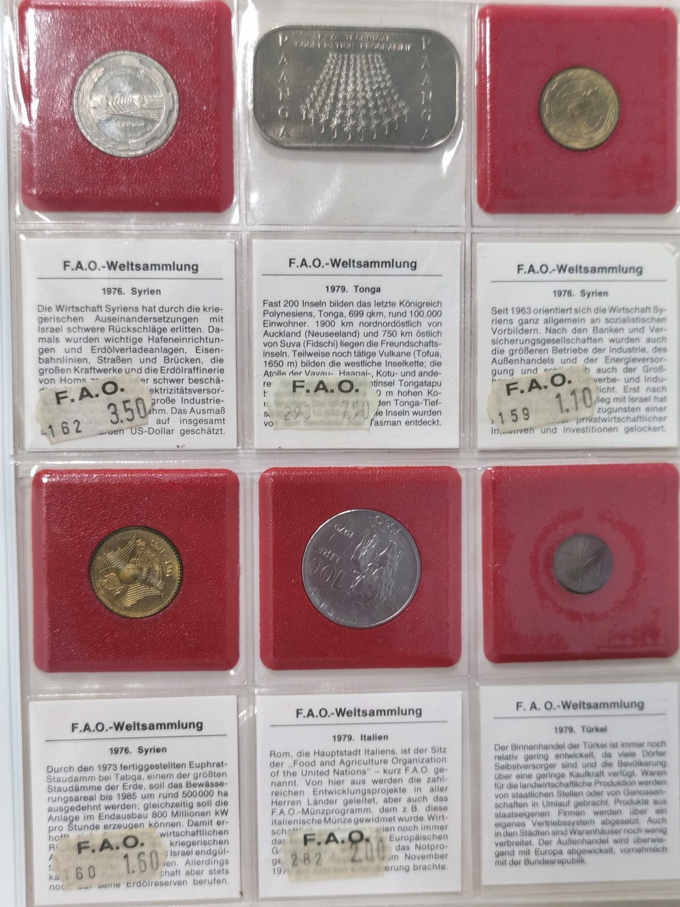 博洋堂世界钱币拍卖第038期（全场包邮） 1978-1980年FAO官方钱币收藏册，含5银2金+2汤加饼干币，一共49枚