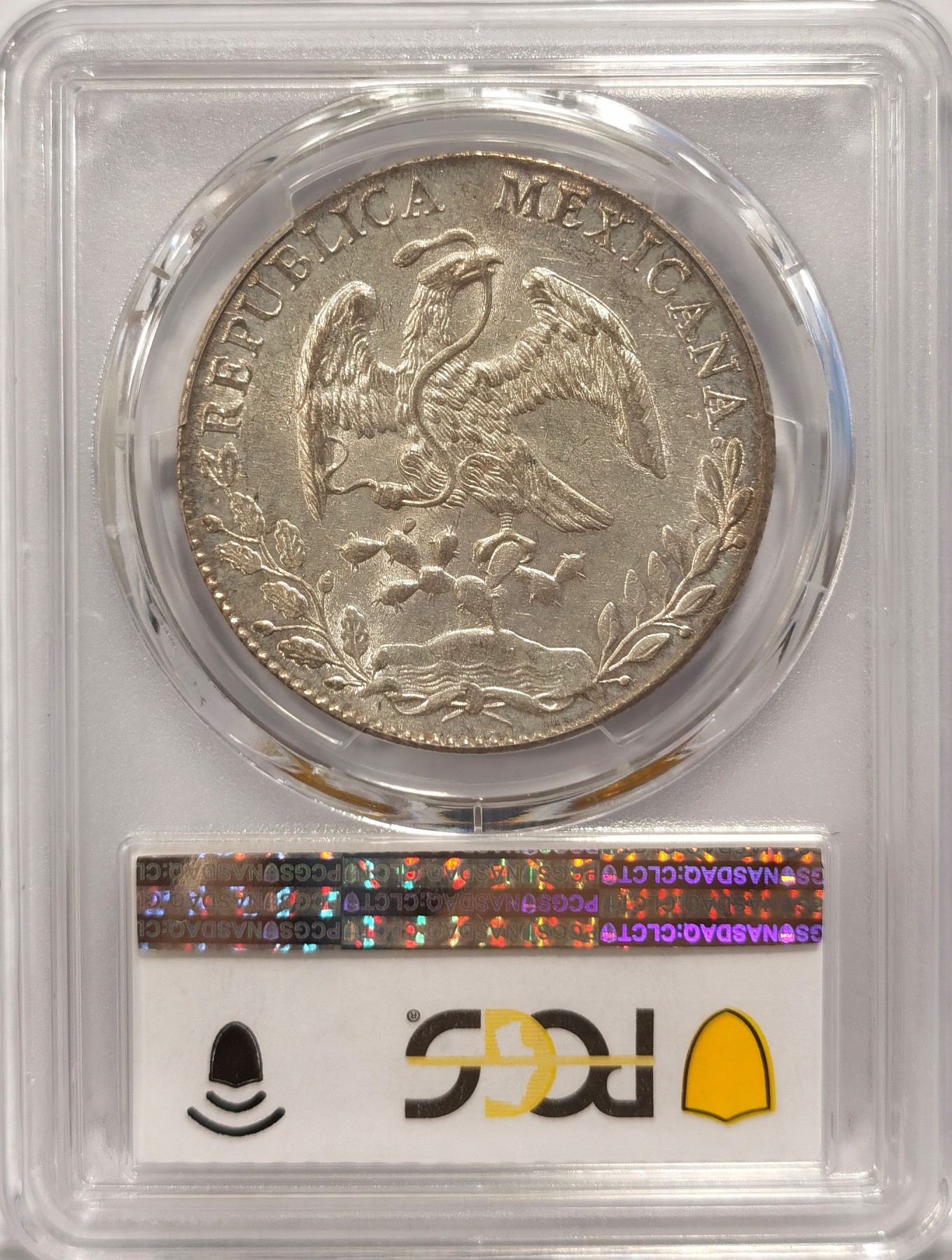 博洋堂“纯白金之夜”精品专场暨第039期（全场包邮） PCGS MS62 墨西哥1890年GO RR版花边鹰洋，SBP2023年3月成交价300美元