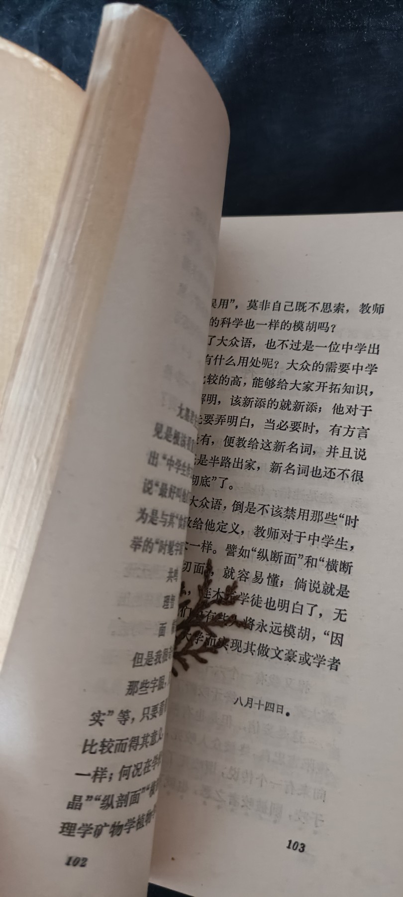 天字一号红色像章、文献专场！0起0押金！ 鲁迅花边文学，有片几十年前的树叶书签