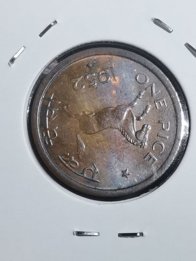 沼泽如烟--第75场 - 印度1952年派斯