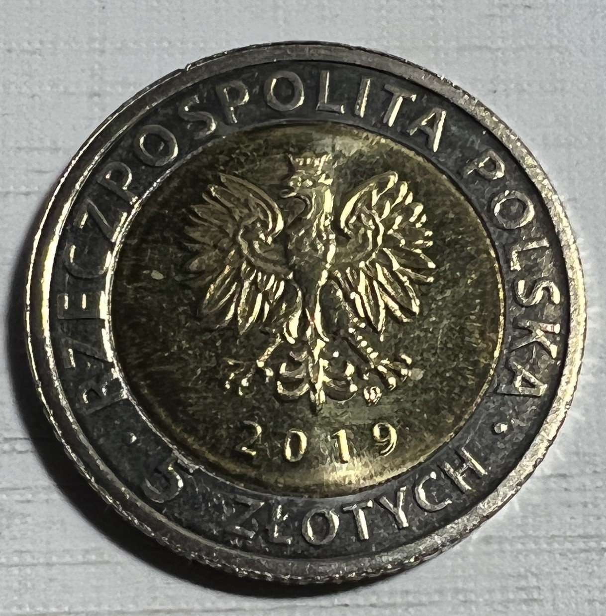 S&S Numismatic世界钱币-拍卖 第124期  波兰2019年 弗龙堡大教堂 5兹罗提双色纪念币