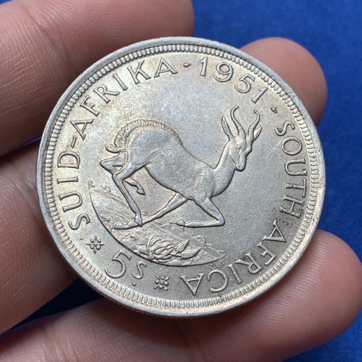 《竞宝斋》第189场-周日，周一 2场 (全场包邮) 英属南非乔六1951年跳羚5先令大银币