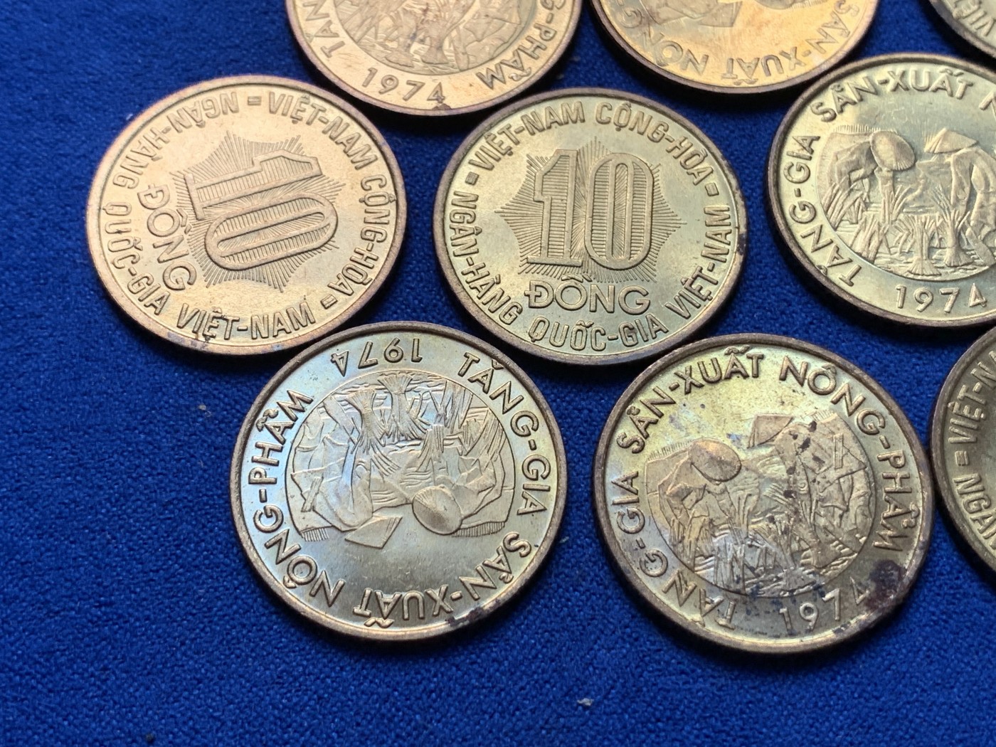 《竞宝斋》第189场-周日，周一 2场 (全场包邮) 10枚一组 南越1974年10盾 FAO 钢镀黄铜纪念币