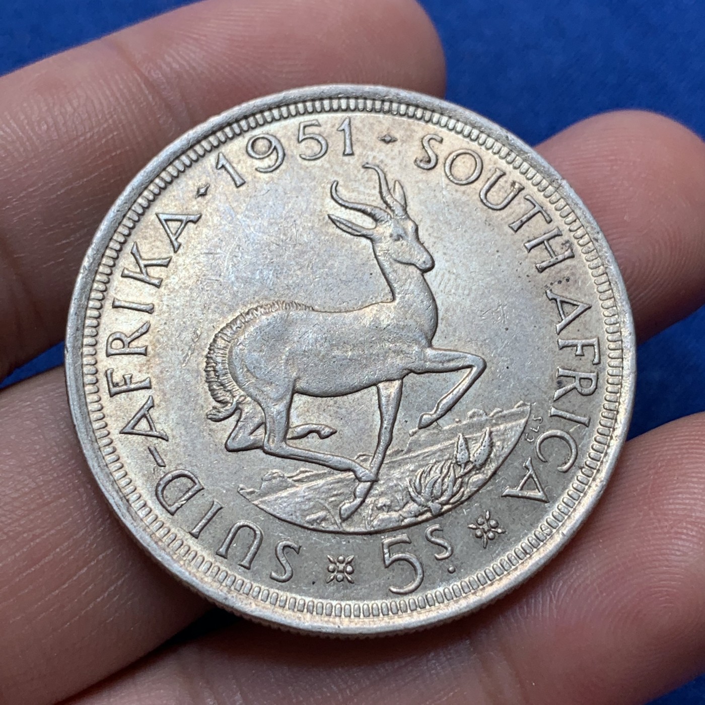 《竞宝斋》第189场-周日，周一 2场 (全场包邮) 英属南非乔六1951年跳羚5先令大银币