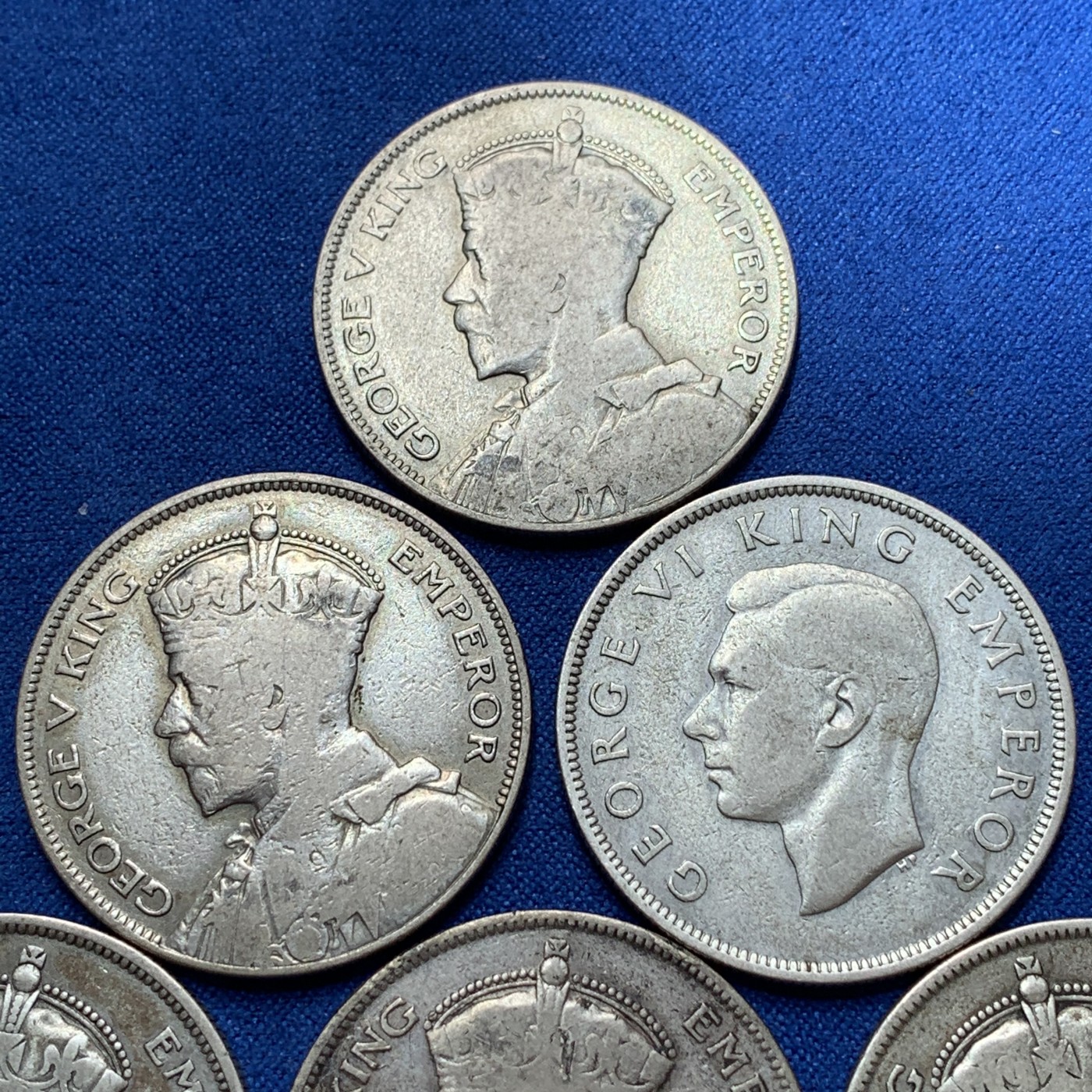 《竞宝斋》第189场-周日，周一 2场 (全场包邮) 6枚一组 新西兰半克朗银币