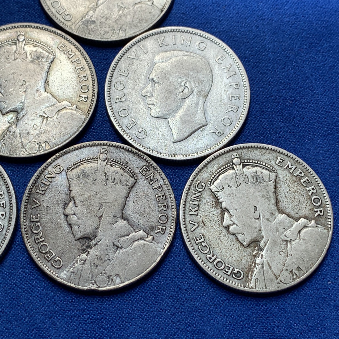 《竞宝斋》第189场-周日，周一 2场 (全场包邮) 6枚一组 新西兰半克朗银币