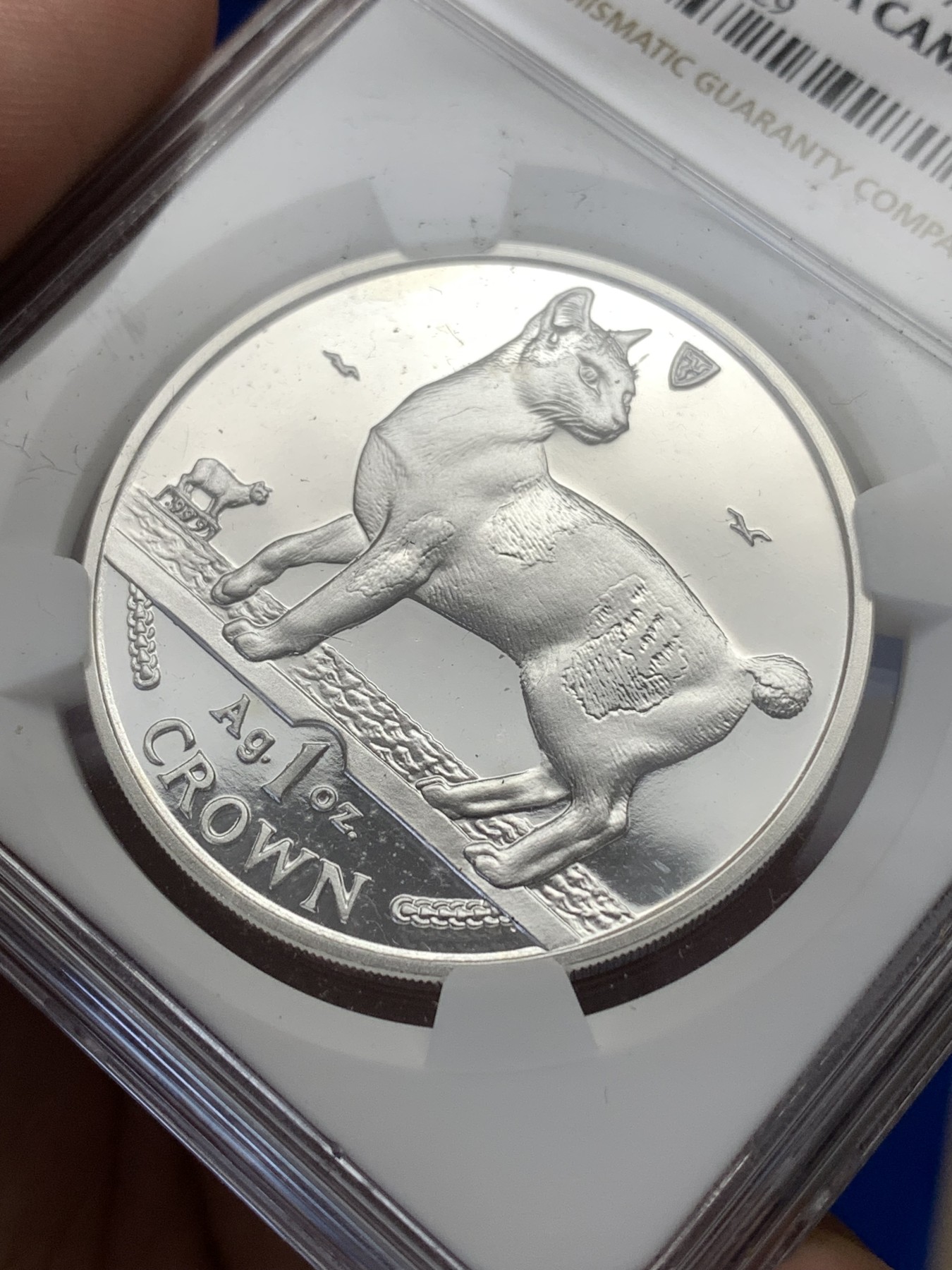 《竞宝斋》第189场-周日，周一 2场 (全场包邮) NGC PF68UC 马恩岛 1994 无尾猫 1克朗银币 999银 1盎司 31.1克