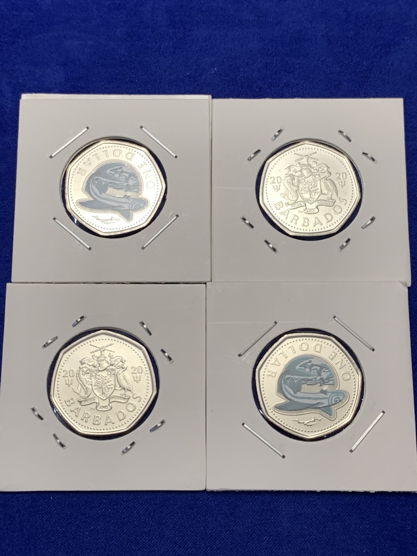 《竞宝斋》第189场-周日，周一 2场 (全场包邮) 巴巴多斯 2020年1元彩色飞鱼七边形币 4枚 卷拆品