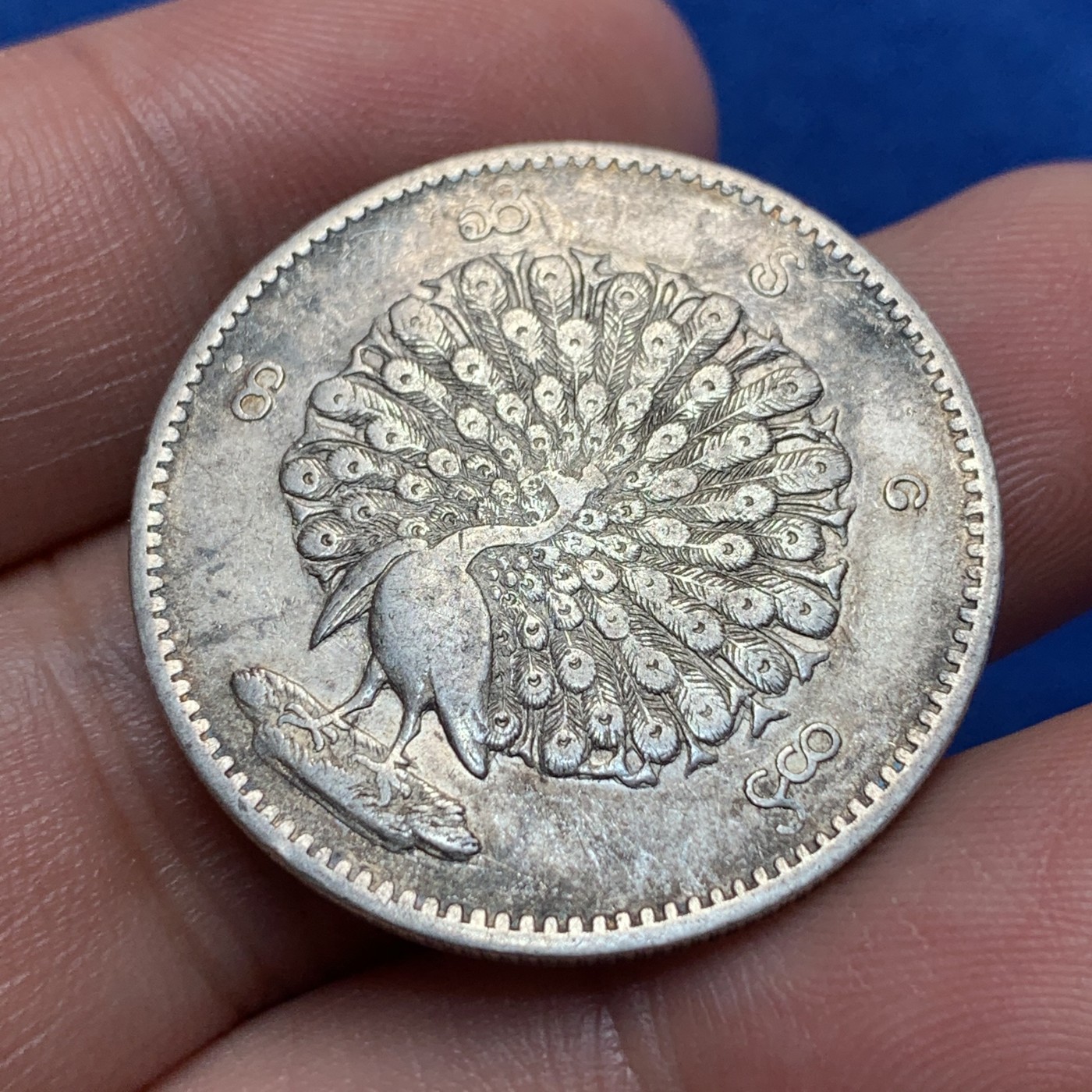 《竞宝斋》第189场-周日，周一 2场 (全场包邮) 缅甸孔雀银币1K主币 羽毛清晰可见 深打好状态