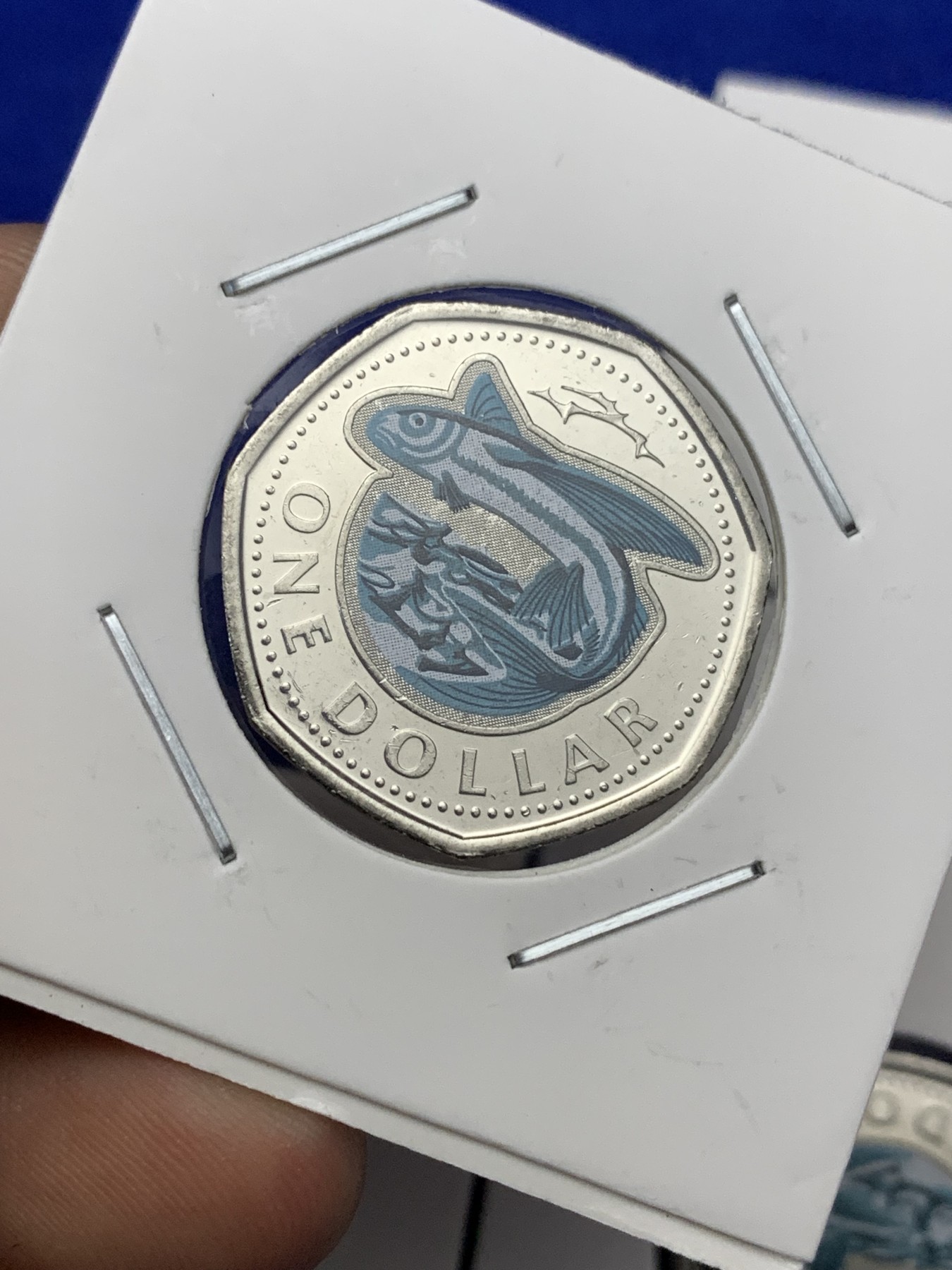 《竞宝斋》第189场-周日，周一 2场 (全场包邮) 巴巴多斯 2020年1元彩色飞鱼七边形币 4枚 卷拆品