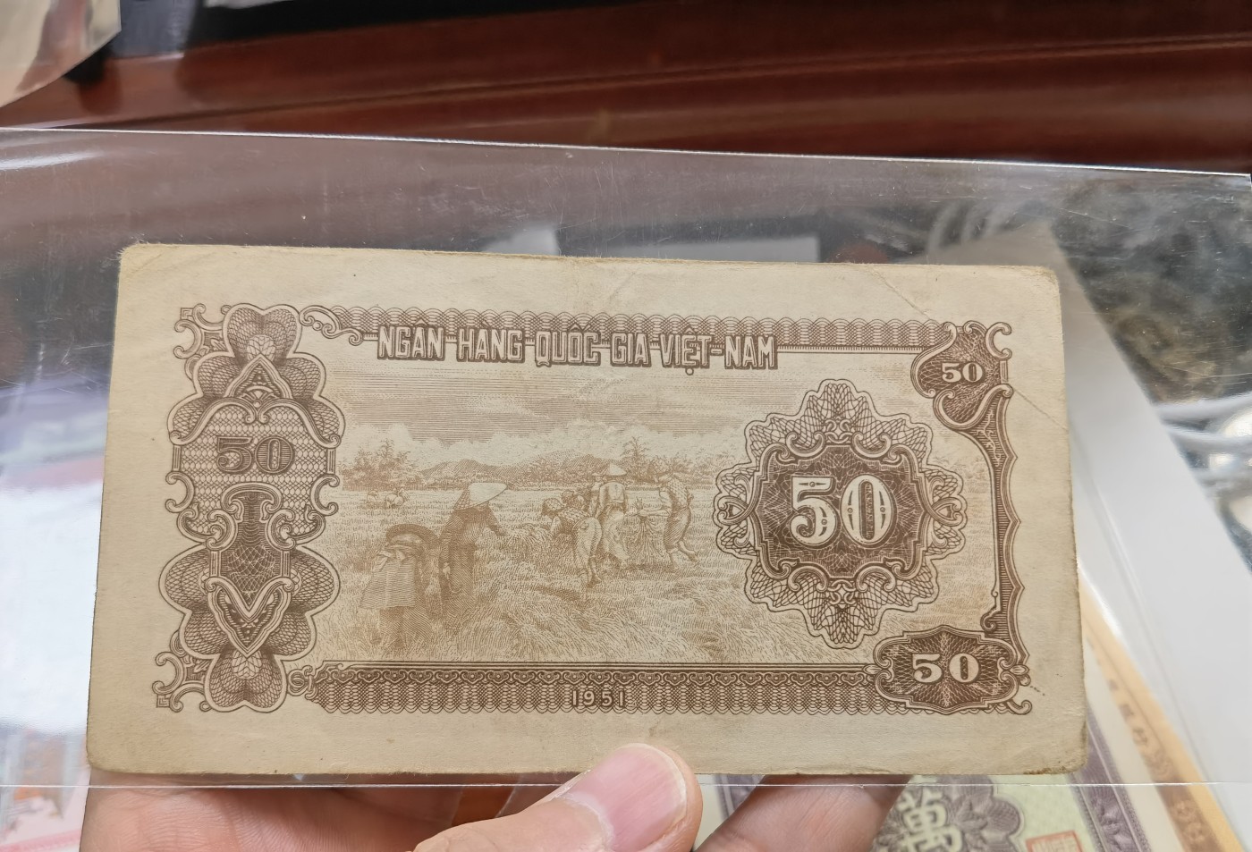 六月的鱼 越南第二套人民币，1951年50元。苏联代印。流通品相。