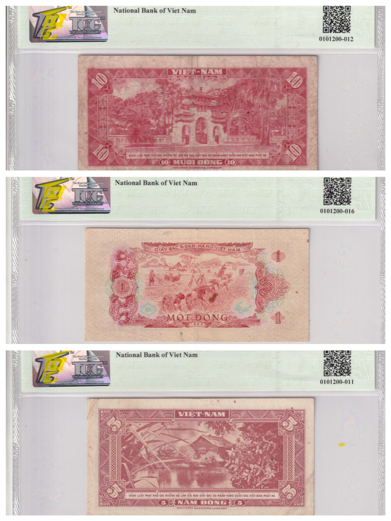 乐淘淘纸币精选 第15期 周五周六连拍第二场 【三张组合】越南纸币三张 TQG评级