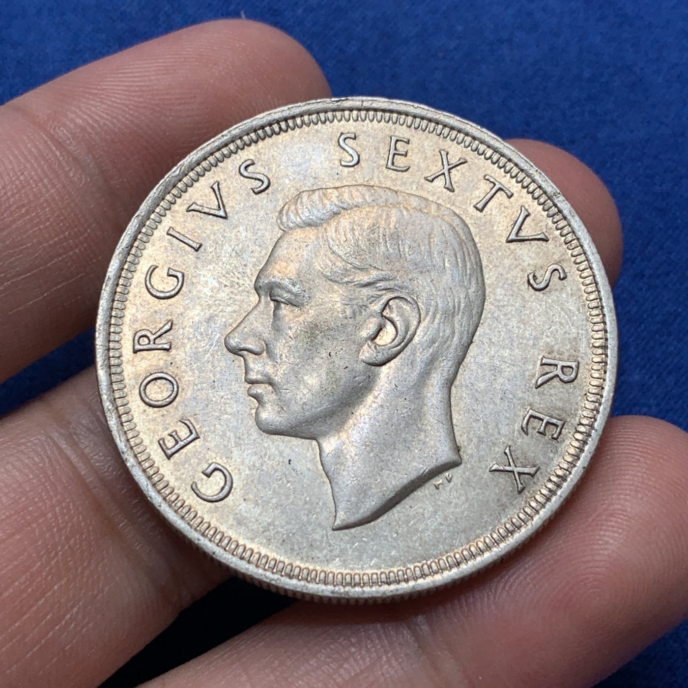 《竞宝斋》第189场-周日，周一 2场 (全场包邮) 英属南非乔六1951年跳羚5先令大银币